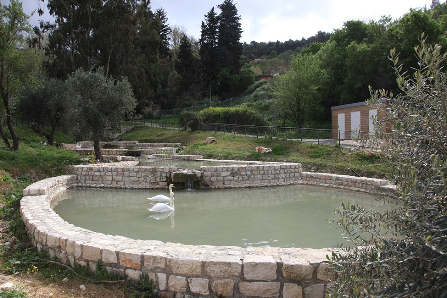 פארק התכלת, עמק התכלת, צפת.